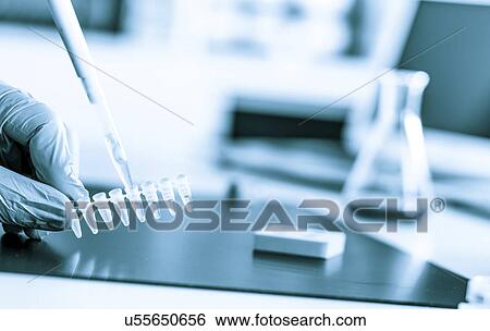Micropipette and eppendorf tubes. View Large Photo Image Stock Photograph - Micropipette and eppendorf tubes.. Fotosearch