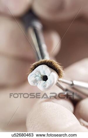 Stock Image - Person making prosthetic tooth, close up.. Fotosearch