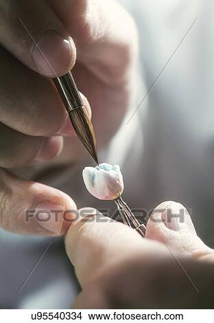 Picture - Person painting prosthetic tooth, close up.. Fotosearch