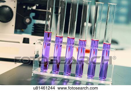 Picture - Test tubes in a test tube rack.. Fotosearch