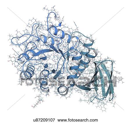 Stock Photo - Alpha-galactosidase enzyme molecule. Fotosearch