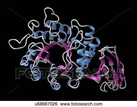Alpha-galactosidase enzyme molecule View Large Photo Image Stock Photograph - Alpha-galactosidase enzyme molecule. Fotosearch