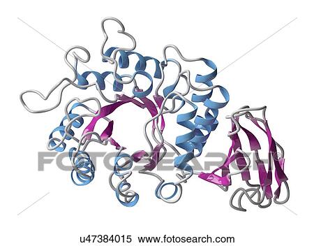 Alpha-galactosidase enzyme molecule View Large Photo Image Stock Photography - Alpha-galactosidase enzyme molecule. Fotosearch