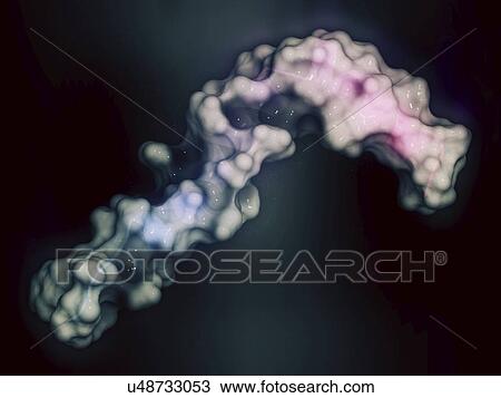 Stock Image - Amyloid beta molecule. Fotosearch