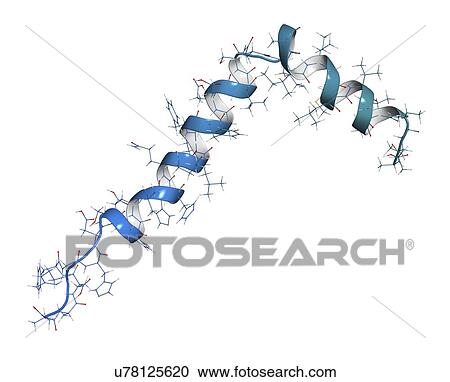 Stock Image - Amyloid beta molecule. Fotosearch