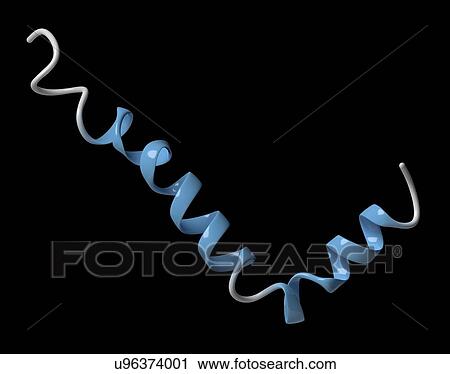 Stock Image - Amyloid beta molecule. Fotosearch