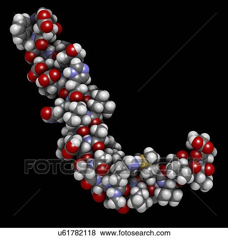 Stock Photo - Amyloid beta molecule. Fotosearch