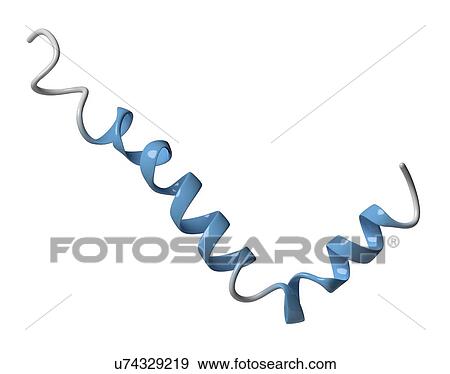 Stock Photo - Amyloid beta molecule. Fotosearch
