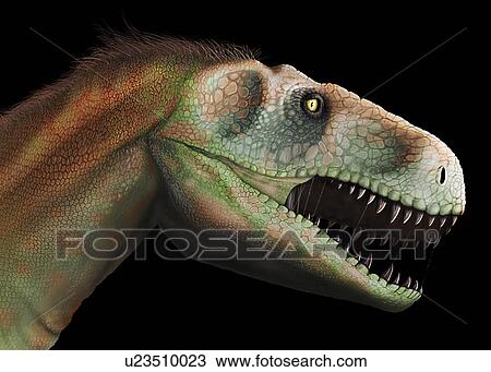 Artwork of Megalosaurus Dinosaur View Large Photo Image Stock Image - Artwork of Megalosaurus Dinosaur. Fotosearch
