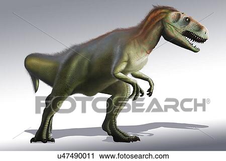 Stock Image - Artwork of Megalosaurus Dinosaur. Fotosearch