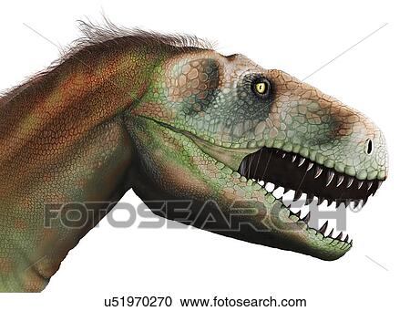 Artwork of Megalosaurus Dinosaur View Large Photo Image Stock Image - Artwork of Megalosaurus Dinosaur. Fotosearch
