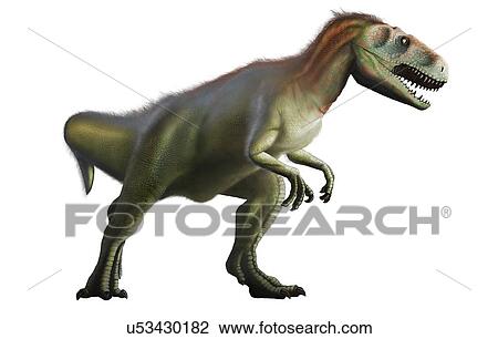 Artwork of Megalosaurus Dinosaur View Large Photo Image Stock Image - Artwork of Megalosaurus Dinosaur. Fotosearch