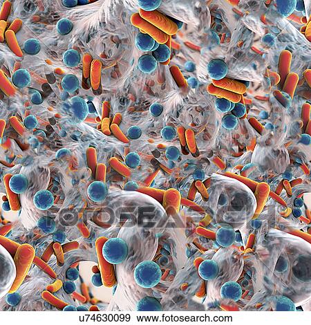 Stock Photo - Bacteria in a biofilm, illustration. Fotosearch