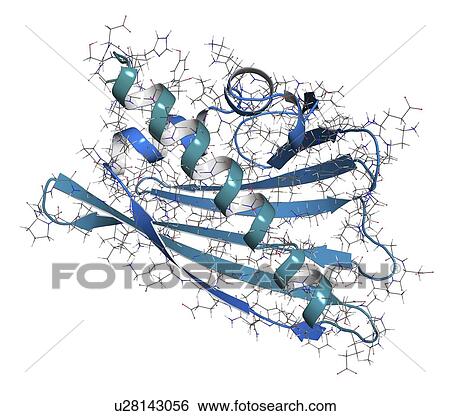 Birch pollen allergen molecule View Large Photo Image Stock Photograph - Birch pollen allergen molecule. Fotosearch