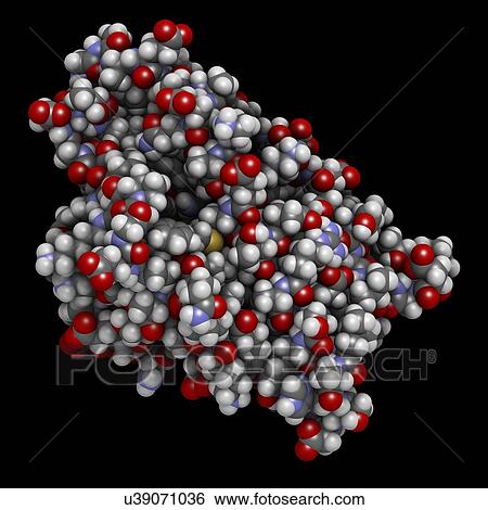 Birch pollen allergen molecule View Large Photo Image Stock Photograph - Birch pollen allergen molecule. Fotosearch