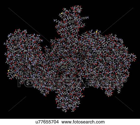 Botulinum toxin molecule View Large Photo Image Picture - Botulinum toxin molecule. Fotosearch