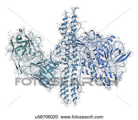 Botulinum toxin molecule View Large Photo Image Stock Image - Botulinum toxin molecule. Fotosearch