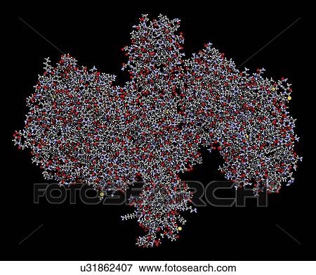 Botulinum toxin molecule View Large Photo Image Stock Photo - Botulinum toxin molecule. Fotosearch