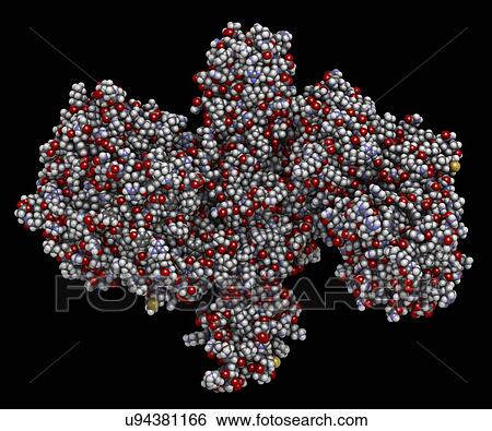 Stock Photograph - Botulinum toxin molecule. Fotosearch