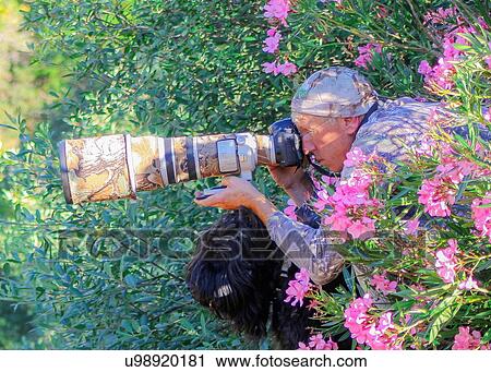 Bouvier View Large Photo Image Stock Image - Bouvier. Fotosearch