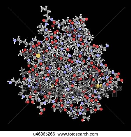 Bovine beta-lactoglobulin whey protein molecule View Large Photo Image Stock Photograph - Bovine beta-lactoglobulin whey protein molecule. Fotosearch