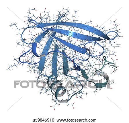 Bovine beta-lactoglobulin whey protein molecule View Large Photo Image Stock Photograph - Bovine beta-lactoglobulin whey protein molecule. Fotosearch