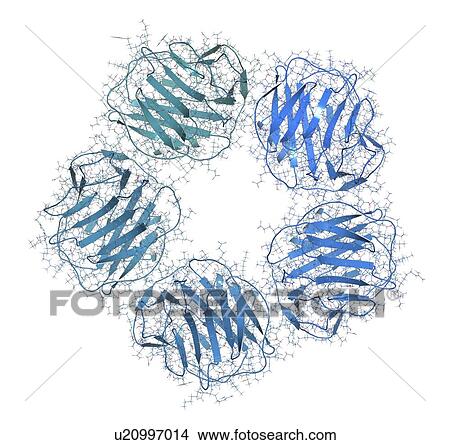 Picture - C-reactive protein molecule. Fotosearch