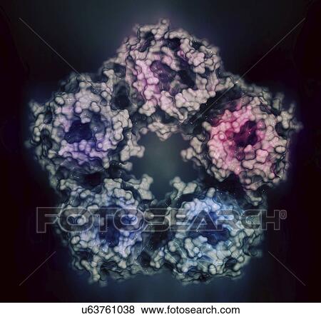 C-reactive protein molecule View Large Photo Image Stock Photo - C-reactive protein molecule. Fotosearch