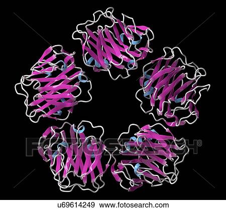 C-reactive protein molecule View Large Photo Image Stock Photo - C-reactive protein molecule. Fotosearch