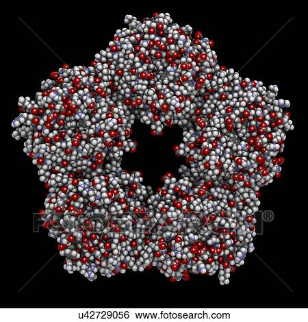 Stock Photograph - C-reactive protein molecule. Fotosearch