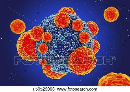 Cancer cell and T cells, illustration View Large Photo Image Stock Image - Cancer cell and T cells, illustration. Fotosearch