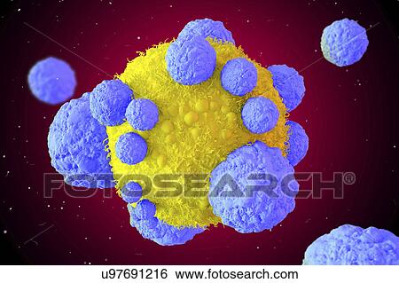 Stock Photograph - Cancer cell and T cells, illustration. Fotosearch