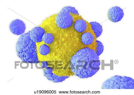 Stock Photography - Cancer cell and T cells, illustration. Fotosearch