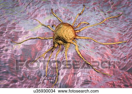 Picture - Cancer cell, illustration. Fotosearch