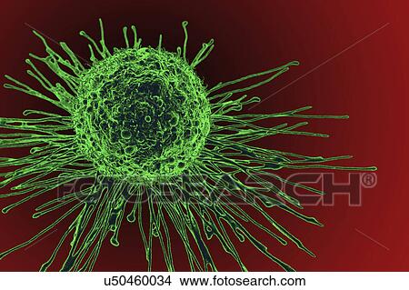 Cancer cell, illustration View Large Photo Image Picture - Cancer cell, illustration. Fotosearch