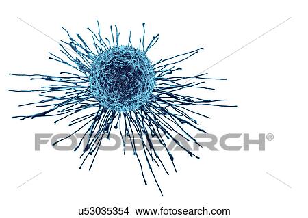 Picture - Cancer cell, illustration. Fotosearch