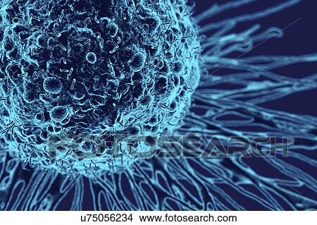 Picture - Cancer cell, illustration. Fotosearch