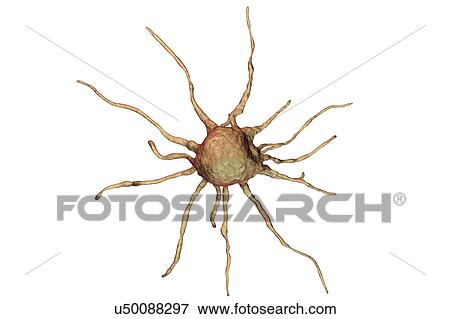 Stock Photo - Cancer cell, illustration. Fotosearch
