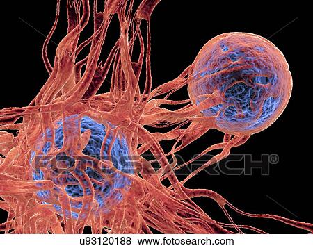 Stock Photo - Cancer cell, illustration. Fotosearch