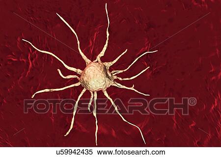 Stock Photography - Cancer cell, illustration. Fotosearch