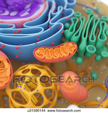 Picture - Cell structure detail, illustration. Fotosearch