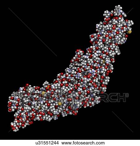 Cholesteryl ester transfer protein molecule View Large Photo Image Picture - Cholesteryl ester transfer protein molecule. Fotosearch