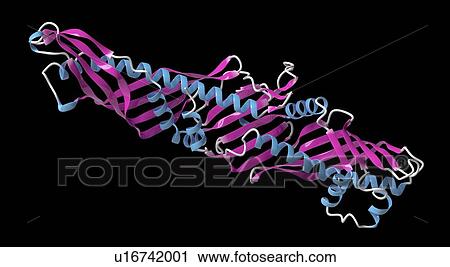 Stock Image - Cholesteryl ester transfer protein molecule. Fotosearch