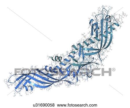 Stock Photo - Cholesteryl ester transfer protein molecule. Fotosearch