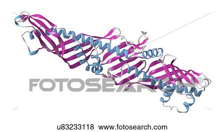 Cholesteryl ester transfer protein molecule View Large Photo Image Stock Photo - Cholesteryl ester transfer protein molecule. Fotosearch