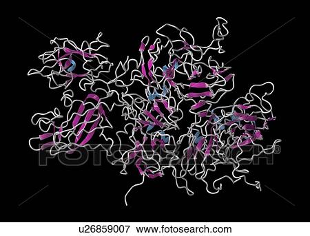 Stock Photo - Coagulation factor VIII molecule. Fotosearch