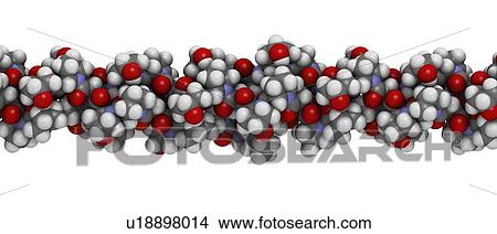 Collagen protein molecule View Large Photo Image Picture - Collagen protein molecule. Fotosearch