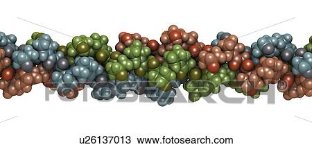 Stock Image - Collagen protein molecule. Fotosearch