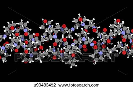 Stock Image - Collagen protein molecule. Fotosearch