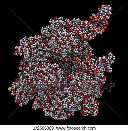 CRISPR-CAS9 gene editing complex View Large Photo Image Stock Photo - CRISPR-CAS9 gene editing complex. Fotosearch